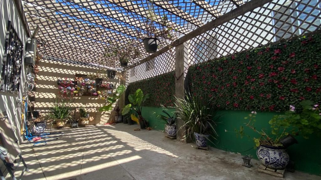 WhatsApp Image 2025-09-24 at 4.08.51 PM (9)