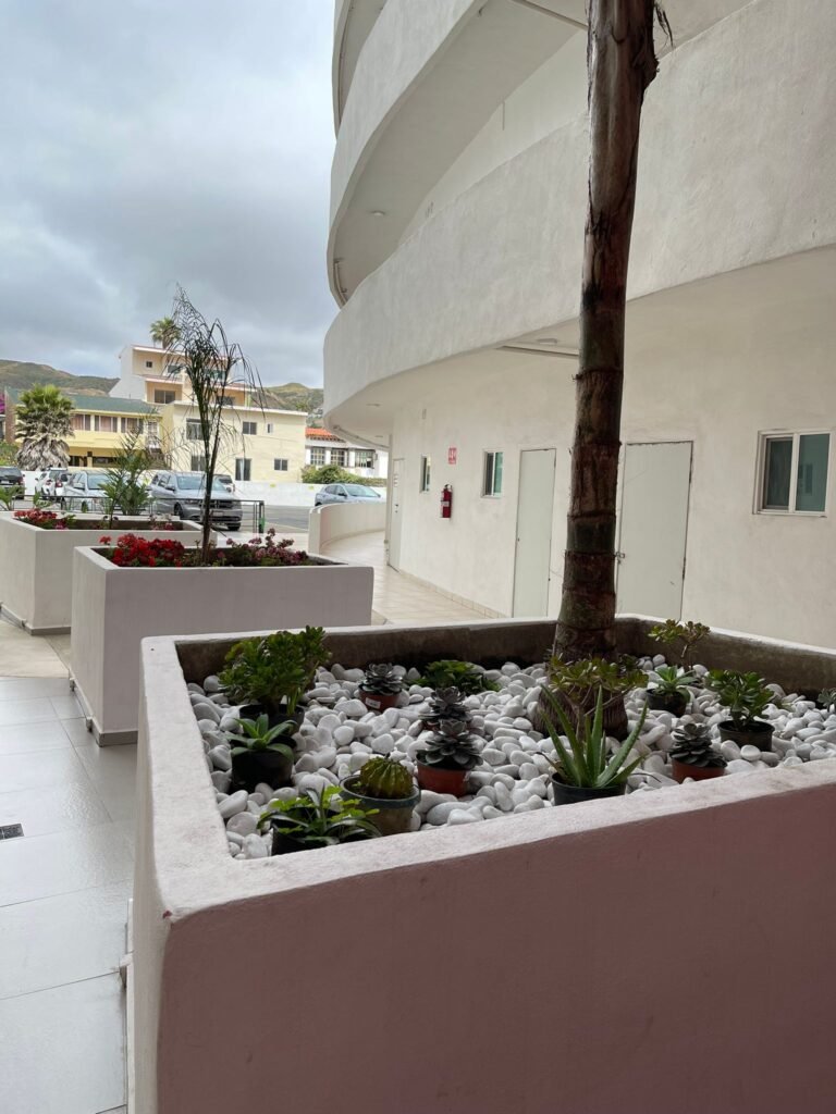 WhatsApp Image 2025-09-25 at 2.20.37 PM (4)