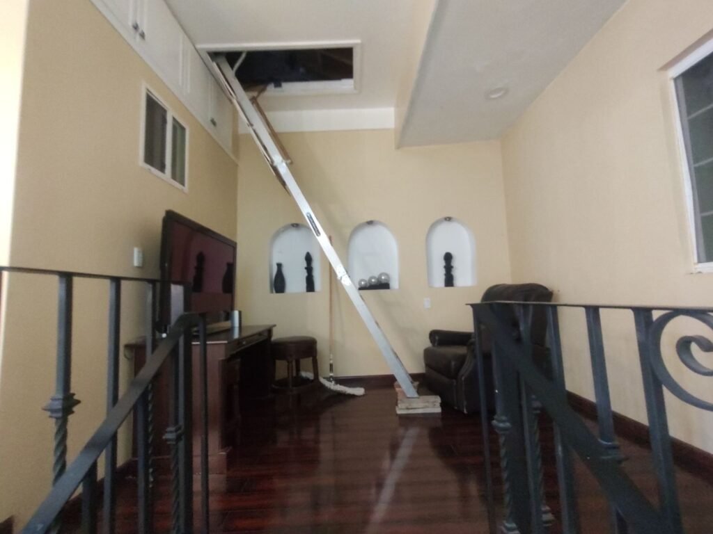 WhatsApp Image 2025-11-13 at 3.33.43 PM (1)